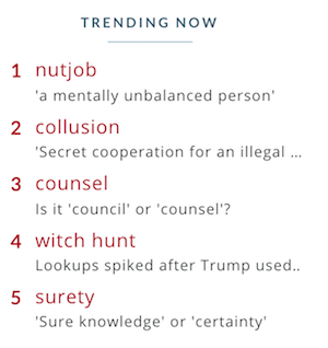 Top dictionary look-ups may reveal the themes occupying thinking minds.