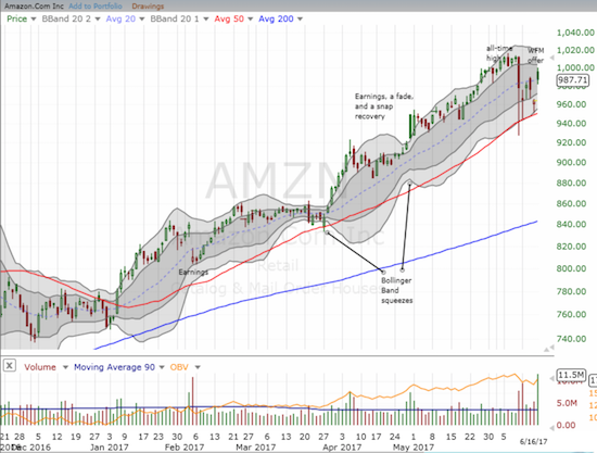 Amazon.com (AMZN) essentially purchased WFM for "free" with a 2.4% gain in its stock as a reward for offering to buy WFM. AMZN's 50DMA survived as a firm support for the swoon in big cap tech stocks.