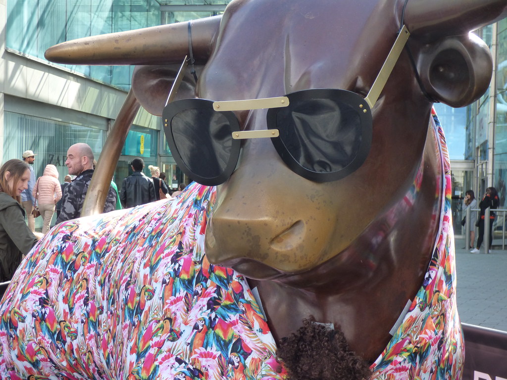 bullish bear (Credit: ell brown on Flickr)