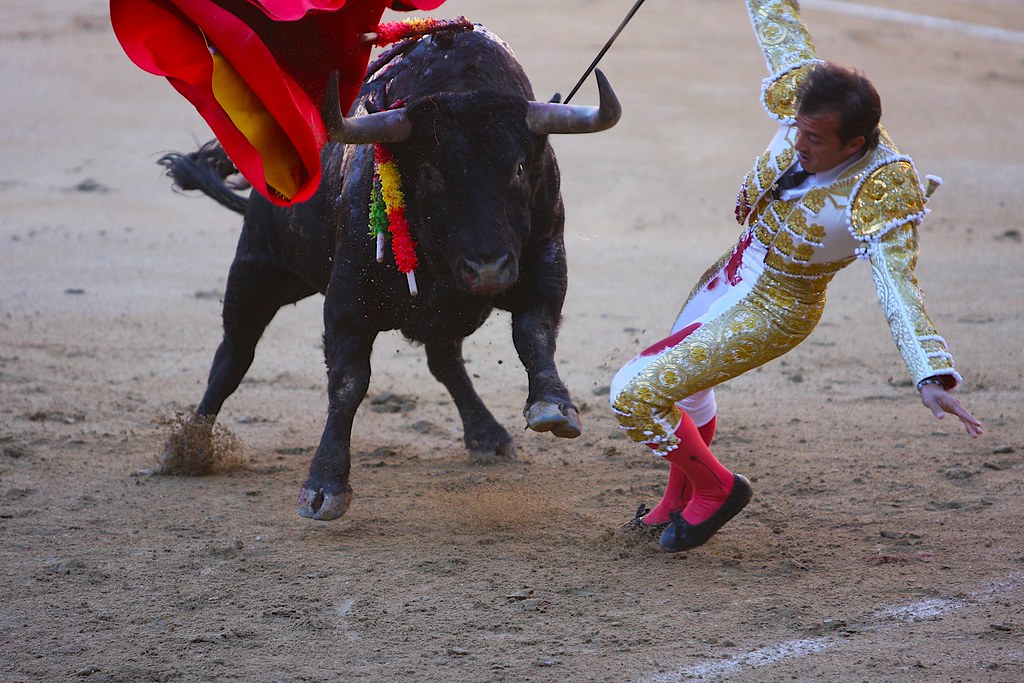 bulls win big (Credit: BULLFIGHT, SOMETIMES THE BULL WINS by David Winnie from Flickr)