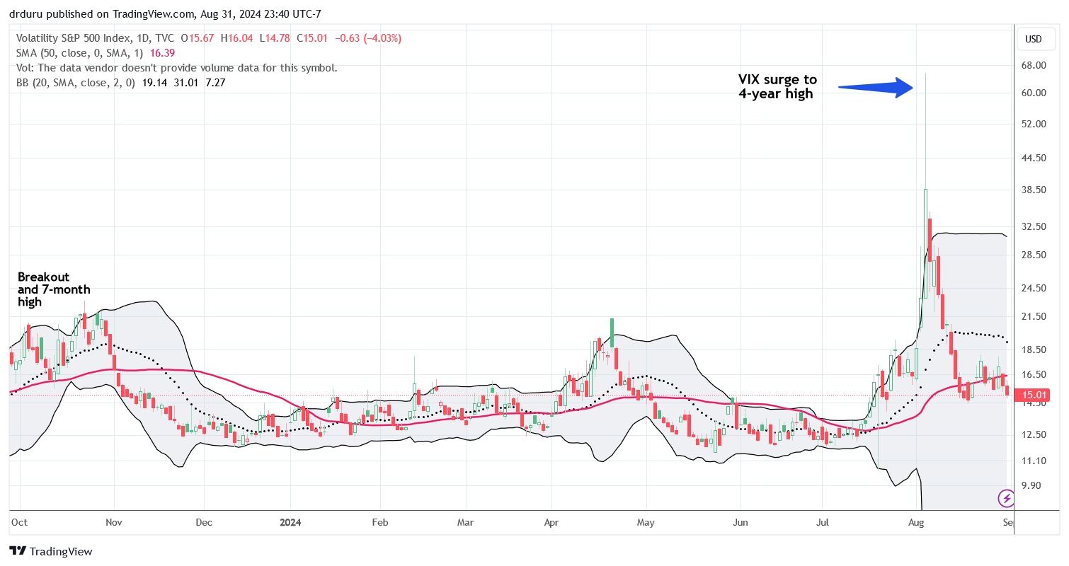 The volatility index (VIX) had a volatile month in August.